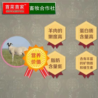 首菜首家内蒙古草原羊肉卷一斤一件冷冻羔羊肉原切羊肉片涮羊肉图4
