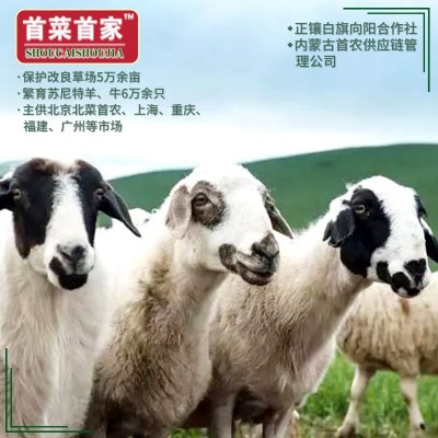 首菜首家内蒙古草原羊肉卷一斤一件冷冻羔羊肉原切羊肉片涮羊肉图3