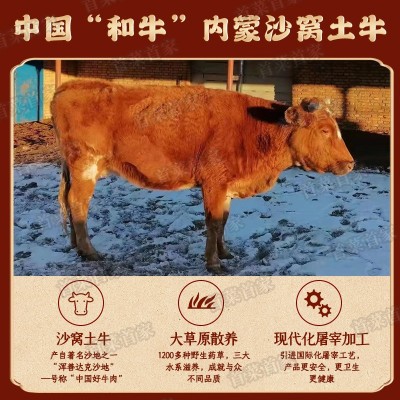 首菜首家 内蒙古土牛肉牛腩牛肚牛排草原散养不注水鲜牛肉厂价直图3