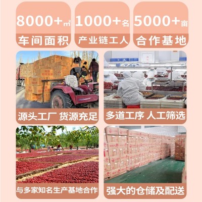 红枣新疆和田大枣500g若羌红枣批发 干枣厚肉小核灰枣工厂直发图5