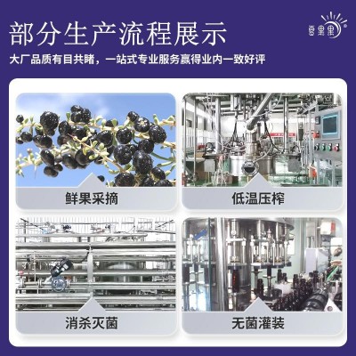 宁夏工厂散装枸杞原浆饮品沙棘原浆汁蓝莓原浆30ml袋装50ml瓶装图5