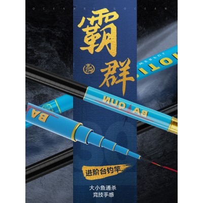 霸群5H鱼竿手杆正品台钓竿28调鱼竿钓竿超轻硬手竿碳素鱼杆钓具图3