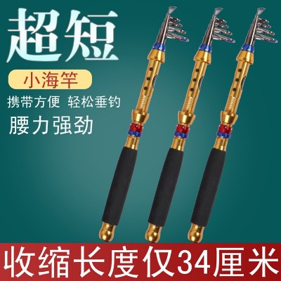 迷你短节小海竿超短袖珍钓鱼竿海钓船钓跨境鱼竿【拍5支免邮】图4