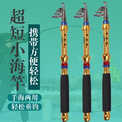 迷你短节小海竿超短袖珍钓鱼竿海钓船钓跨境鱼竿【拍5支免邮】图3