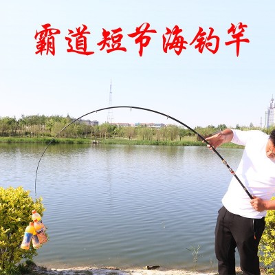 短节海竿碳素鱼竿远投竿霸道小海竿跨境钓鱼竿【拍5支免邮】图2