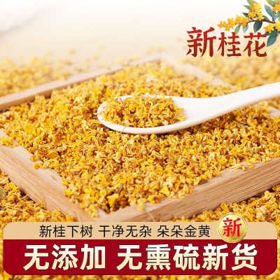 厂家直销桂花干花干桂花新鲜食用金桂新花泡水喝的东西非特级桂花图3