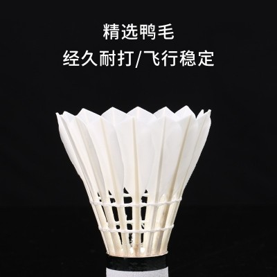 厂家供应航宇夜光羽毛球9只装户外训练防风耐打夜间带灯发光球图4