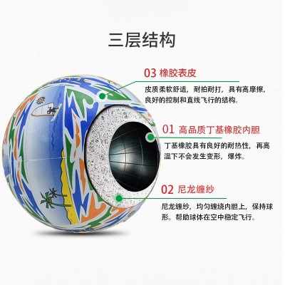 工厂批发定制新款排球4号5号耐磨耐击打成人小学生训练比 赛使用图2