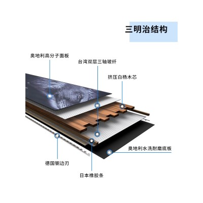 一件代发男女通用狮子单板滑雪板滑雪装备套装入门全能平 花刻滑板图3