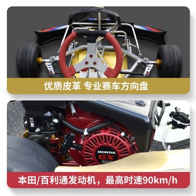 SQ赛骑成人竞速版比赛专用卡丁车双冲程超大马力水冷发动机图3