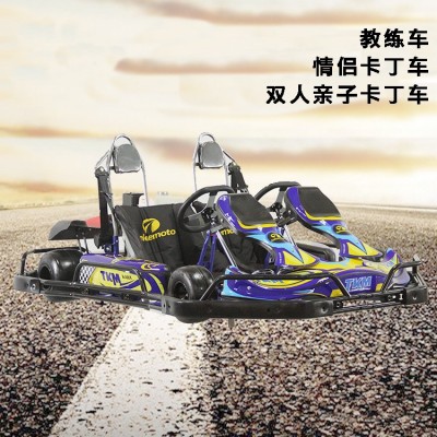 双人卡丁车、亲子卡丁车、双座卡丁车、室外双人卡丁车图2