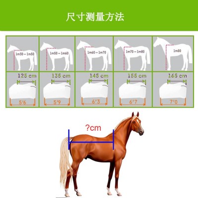 外贸出口可定制爆款马衣夹棉围脖保暖马术用品马具透气舒适马匹衣图4