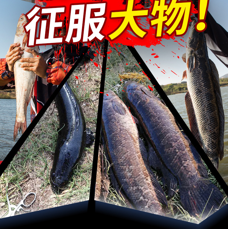 路亚-1_12.jpg