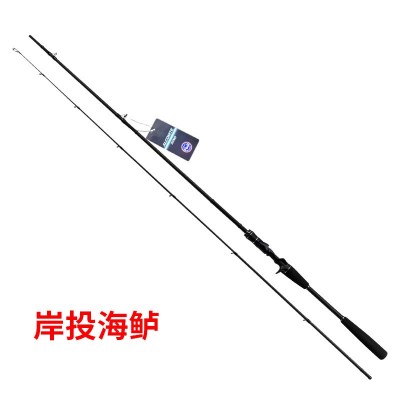 友莱富士路亚竿直枪高碳插竿2.4-2.9米MLMMH钓鲈鱼黑鱼远抛投海杆图5