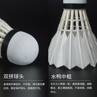 羽毛球厂家批发 场馆训练羽毛球 12只装羽毛球 金标601图2