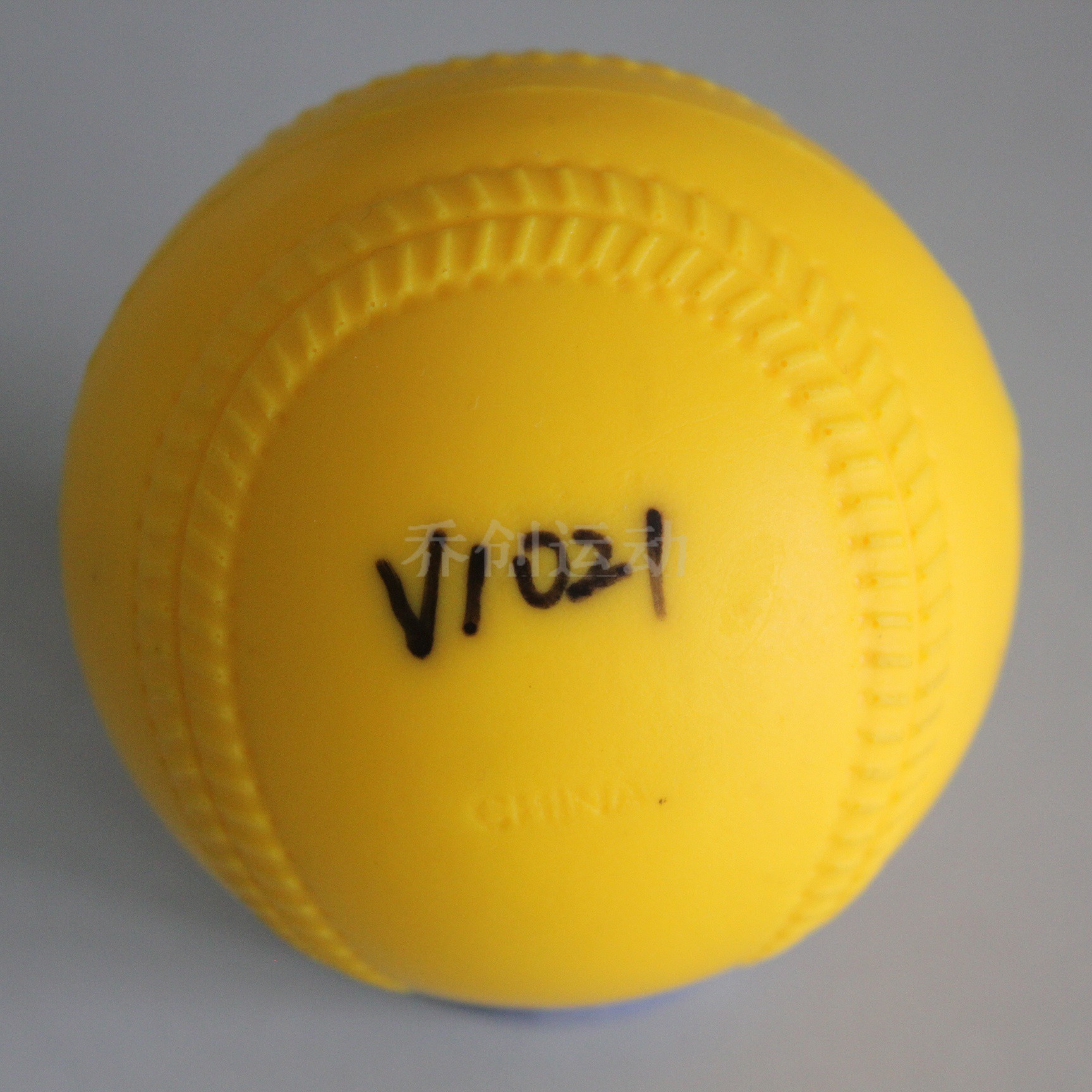 V1021-00