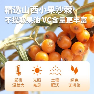 早康沙棘原浆含果油沙棘原料整桶批发宁夏枸杞原浆沙棘汁大 袋代发图4