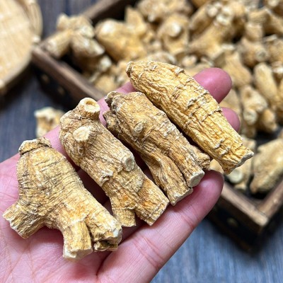 加拿大西洋参粒头 5g/10g美国花旗参原枞白肉老皮可代切片打粉图3