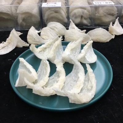 印尼金丝燕产地雨季白肉大盏手工半干挑燕窝礼盒装50克源头批发图4