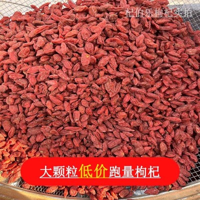 宁夏大颗粒头茬新货红枸杞子中宁直供苟杞子低价大量整箱便宜批发图2