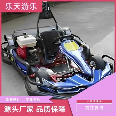 儿童成人卡丁车游乐设备 户外娱乐项目燃油电动竞赛漂移车商用图3