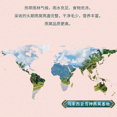 即食燕窝批发零售雪耳燕窝一件代发礼盒装鲜炖包邮朔源码即食燕窝图2