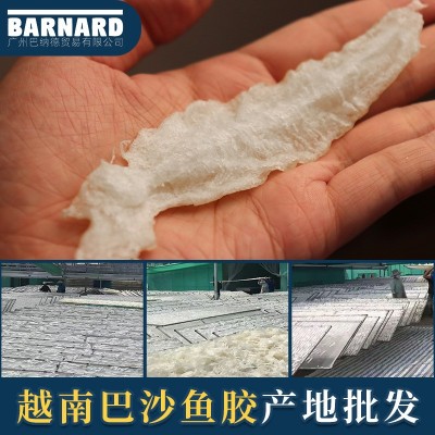 巴沙鱼胶干货批发一手鱼肚供应花胶鱼鳔酒店餐饮专用鱼胶滋补海味