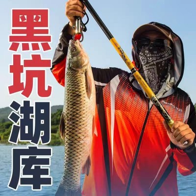 鱼竿手竿超轻超硬日本进口碳素钓鱼竿19调6H大物竿正品图2