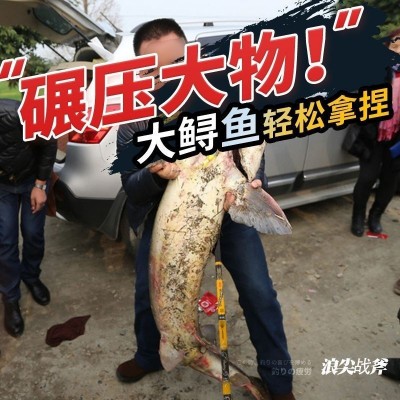 鱼竿手竿超轻超硬日本进口碳素钓鱼竿19调6H大物竿正品图4