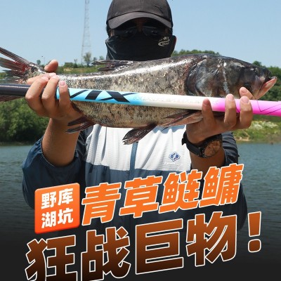 新品冰蓝粉VIX鱼竿手竿碳素超轻超硬28调台钓竿鲫鱼竿19调大物竿图3