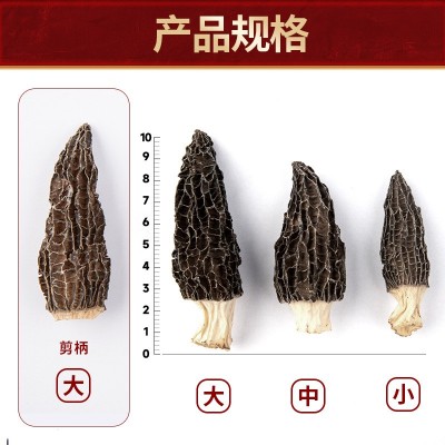精选羊肚菌500g干货批发整箱 7-9规格云南原产地头茬新货羊肚菌菇图2