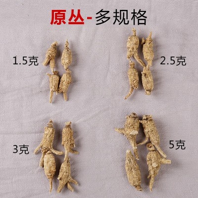 加拿大软支西洋参原丛产地直供花旗参粒头整支现货批发西洋参段图3