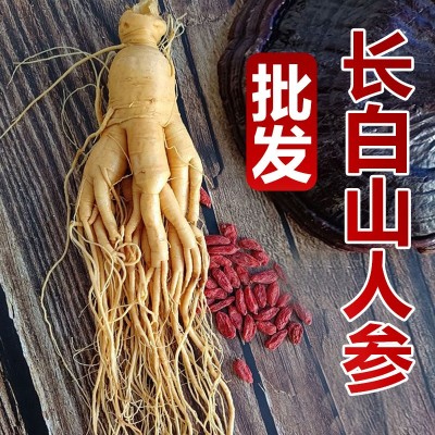 【保鲜人参】长白山人参批发 产地直销 东北特产 煲汤人参 泡酒参图3