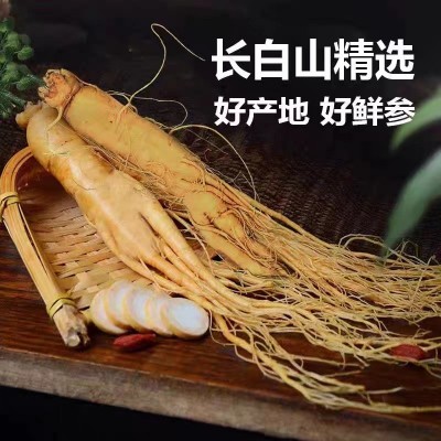 长白山保鲜参鲜人参批发独立包装东北土特产泡酒药材规格齐全人参图2