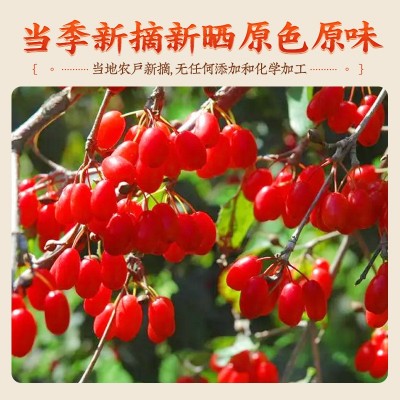 山茱萸中药材正品山萸肉野生山茱萸茶五味子山茱萸干泡水批发代发图2