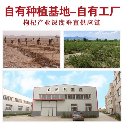 【1斤装】红枸杞散装源头工厂现货整箱批发枸杞子一手货源代发图4