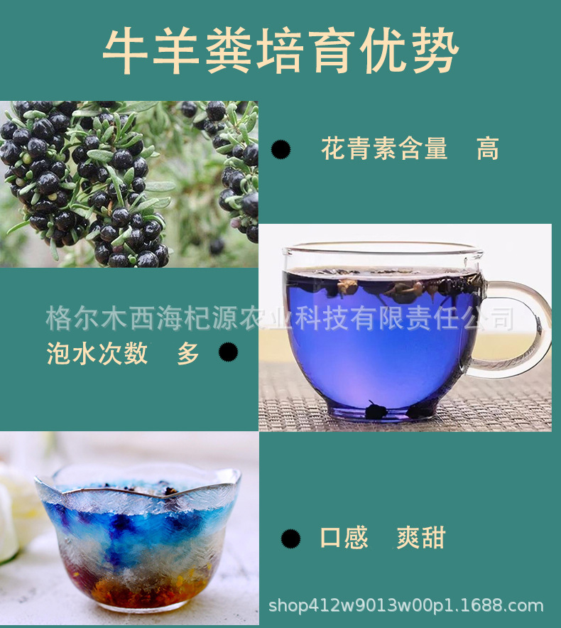 详情14