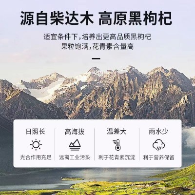 黑枸杞批发 青海黑枸杞500g大颗粒柴达木黑枸杞散装干净干果批发图3