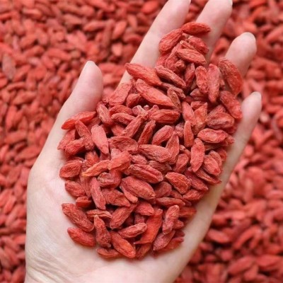 枸杞子新货批发精选大颗粒干净散货一箱40斤红枸杞子头茬特卖图2