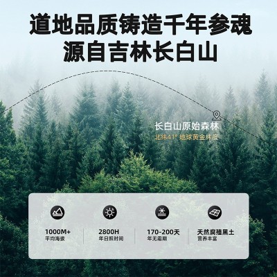 杞里香西洋参厂家批发50g瓶装西洋参切片花旗参片含片代发图3