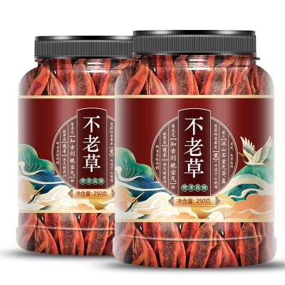 回春草泡茶肉苁蓉锁阳顶天柱不老草泡酒药材男性滋补代发批发