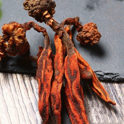 回春草泡茶肉苁蓉锁阳顶天柱不老草泡酒药材男性滋补代发批发图2