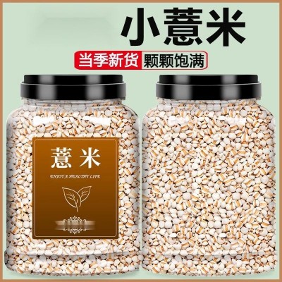 新货炒熟薏米香浓醇厚薏仁米甄选精品炒薏米熟薏苡仁罐装
