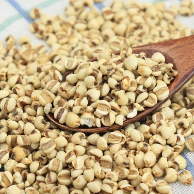 新货炒熟薏米香浓醇厚薏仁米甄选精品炒薏米熟薏苡仁罐装图3
