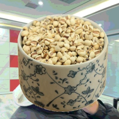 新货炒熟薏米香浓醇厚薏仁米甄选精品炒薏米熟薏苡仁罐装图5