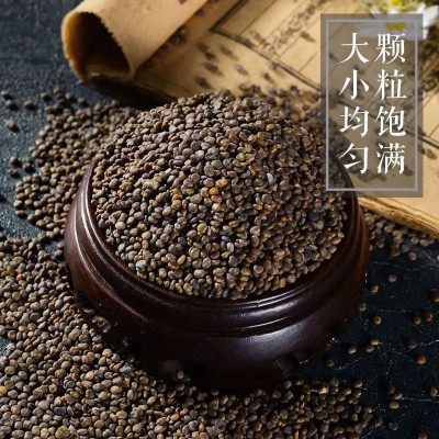 无硫原色沙苑子沙苑子茶沙苑子粉沙菀子沙苑蒺藜菟丝子图3