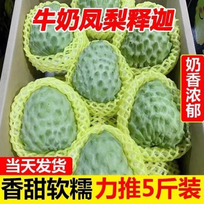 释迦果牛奶新鲜5斤当季热带水果大番荔枝佛头1斤非台湾厂家直销图3