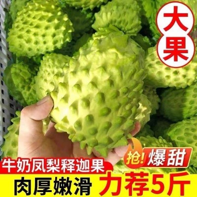 释迦果牛奶新鲜5斤当季热带水果大番荔枝佛头1斤非台湾厂家直销图2