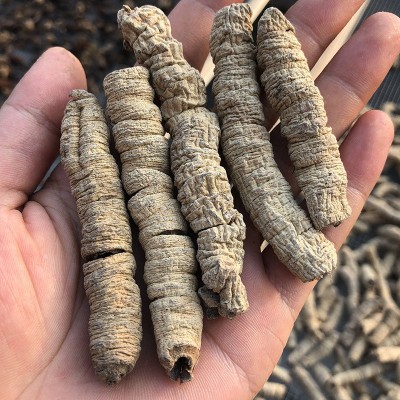 巴戟天中药材500g广东德庆巴戟肉干货杜仲牛大力野凤眼根泡酒煲汤图2