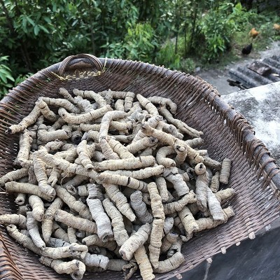 巴戟天中药材500g广东德庆巴戟肉干货杜仲牛大力野凤眼根泡酒煲汤图4